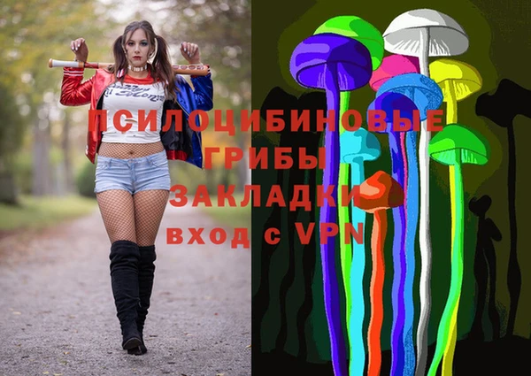 ECSTASY Козловка