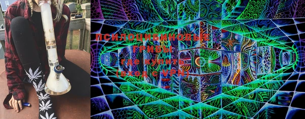 ECSTASY Козловка