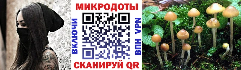 Псилоцибиновые грибы Psilocybine cubensis  Купить  Буй 